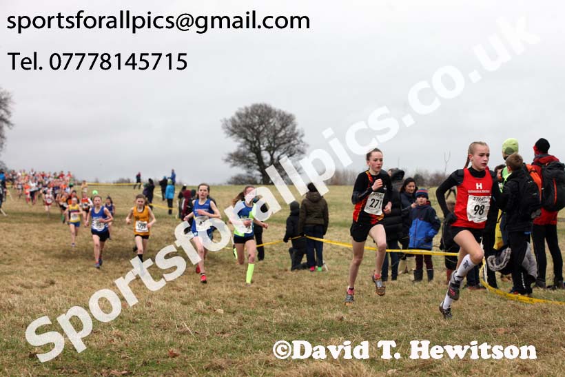 Girls under-13s, 2018 Northern Cross Country Champs., Harewood House, Leeds. Photo: David T. Hewitson/Sports for All Pics